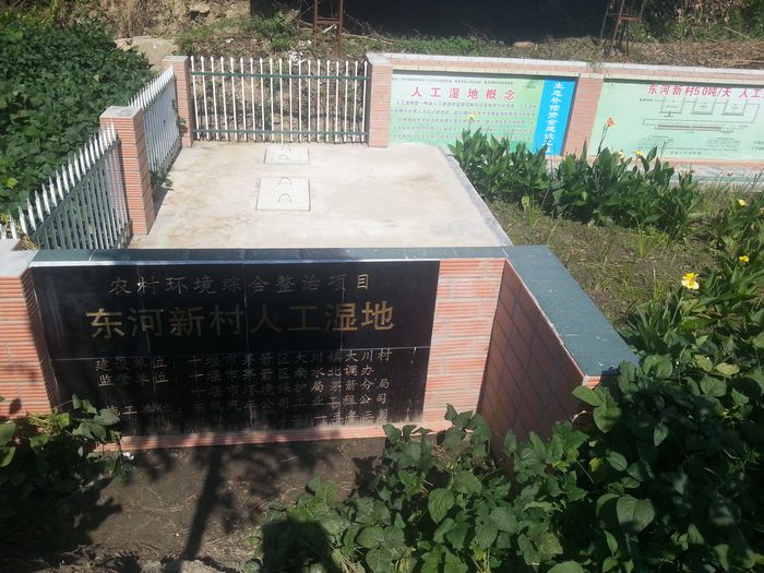 人工湿地.jpg